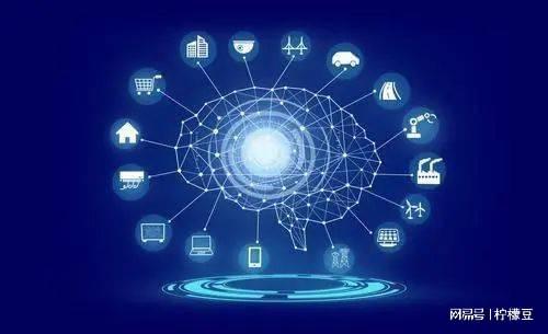 柠檬豆多元化蝶变——汇企播打通上下游产业链